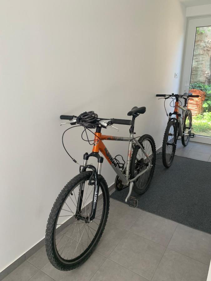 Sicomoro Casa Šoproň Exteriér fotografie